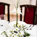 Palac Krobielowice 3* Kąty Wrocławskie