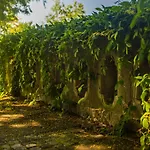 Palac Krobielowice Kąty Wrocławskie