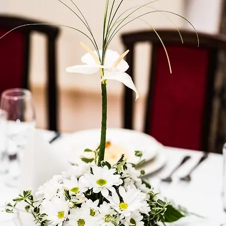 Palac Krobielowice 3* Kąty Wrocławskie