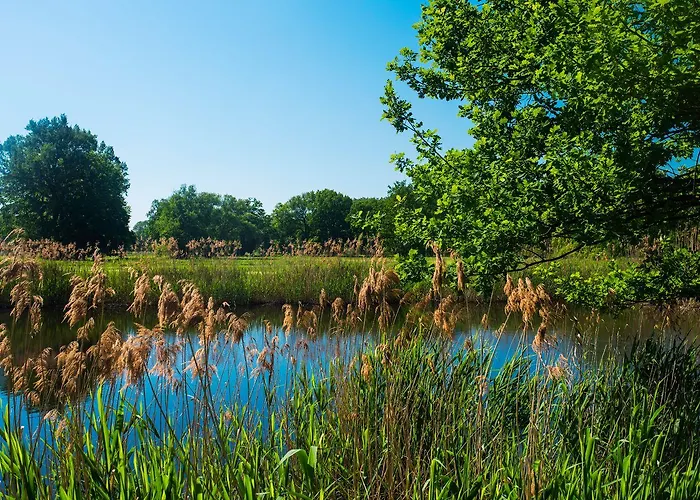 Palac Krobielowice Resort Kąty Wrocławskie