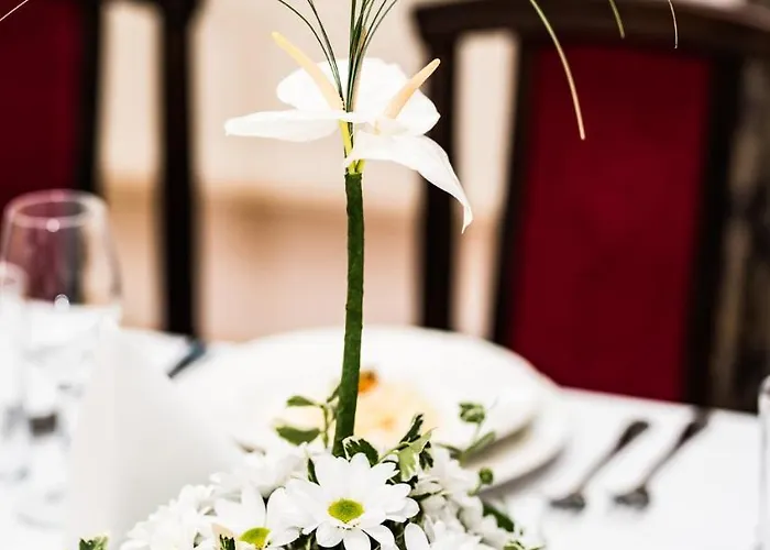 Palac Krobielowice 3* Kąty Wrocławskie