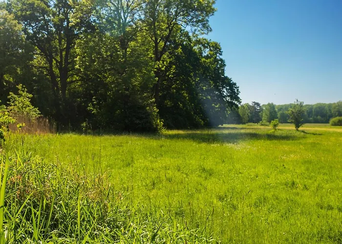 Palac Krobielowice Resort 3*