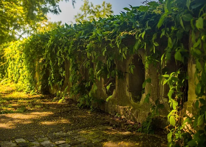 Palac Krobielowice Katy Wroclawskie